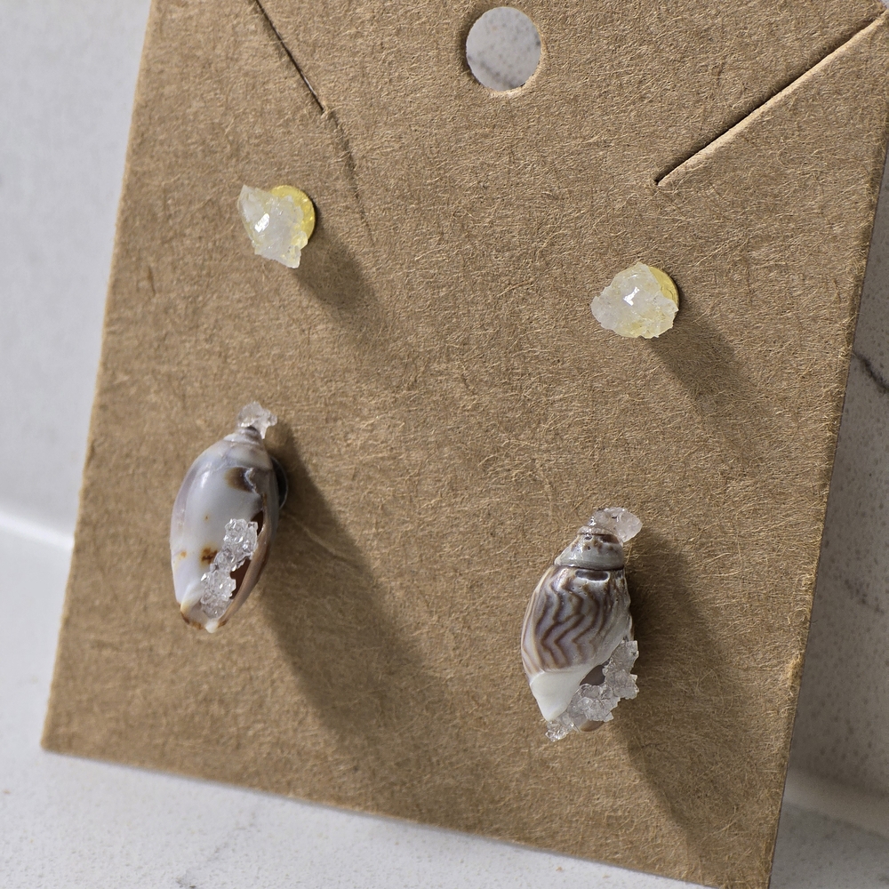 Crystal Stud Earrings